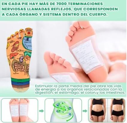 DePax™ Parches Desintoxicantes KINOKI - Caja X10 PARCHES