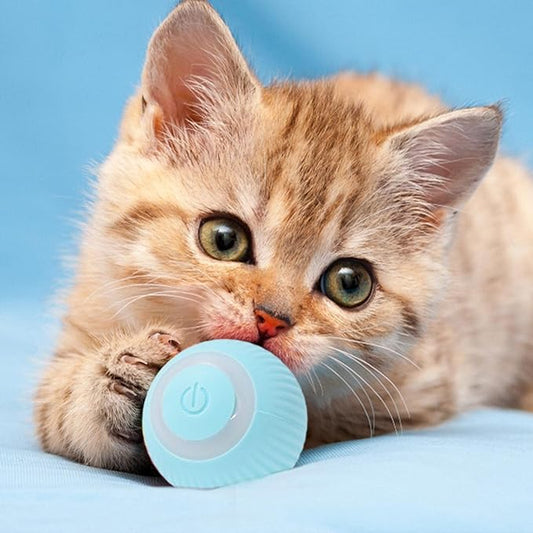 PowerBall™ Pelota Inteligente para Gatos - [PROMOCIÓN DISPONIBLE SOLO HOY]