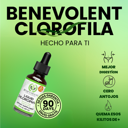 BenevGreen™ – Clorofila Para Ligereza, Frescura Y Energía Diaria