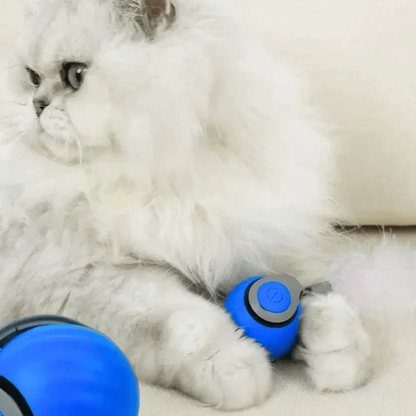 TailPlay™ 2.0 – Pelota Inteligente Con Cola Para Gatos