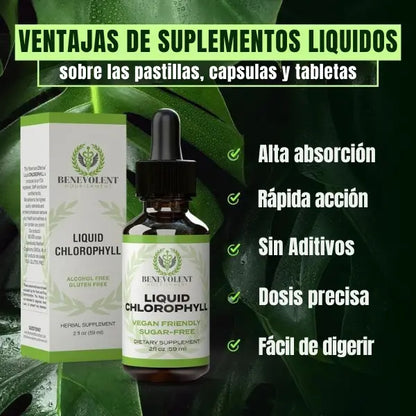 BenevGreen™ – Clorofila Para Ligereza, Frescura Y Energía Diaria