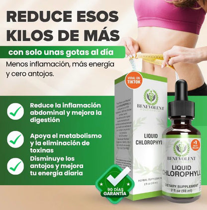 BenevGreen™ – Clorofila Para Ligereza, Frescura Y Energía Diaria