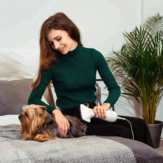 PetGlide Pro™ Secador profesional de mascotas 2 en 1 (cepillo + secador) | OFERTA 50% - [PROMOCIÓN DISPONIBLE SOLO HOY]