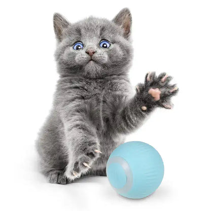 PowerBall™ Pelota Inteligente para Gatos - [PROMOCIÓN DISPONIBLE SOLO HOY]