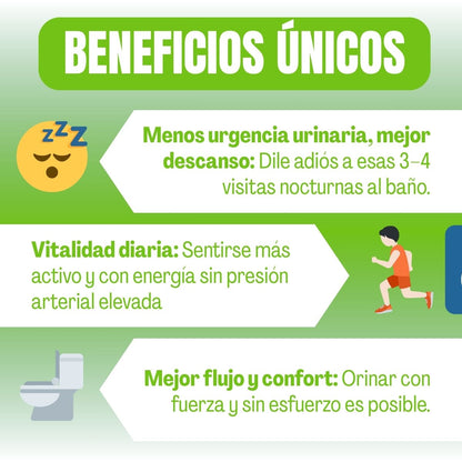 Vitanox™ - Vitalidad, potencia y energía desde la raíz