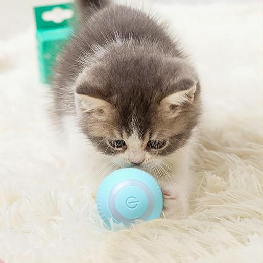 PowerBall™ Pelota Inteligente para Gatos - [PROMOCIÓN DISPONIBLE SOLO HOY]